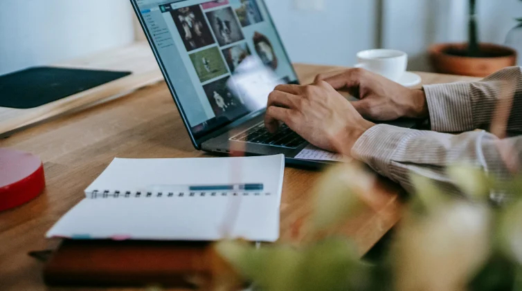 Curso en Marketplaces y Venta Multicanal: Estrategias para competir con grandes plataformas